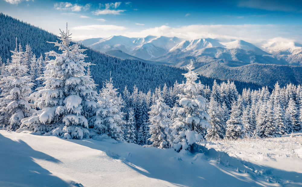 A landscaping photo of rolling hills and mountains with trees absolutely covered in snow. - Boyd Honda Oxford, NC