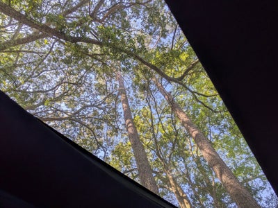 2024 Ford F-150 Raptor R