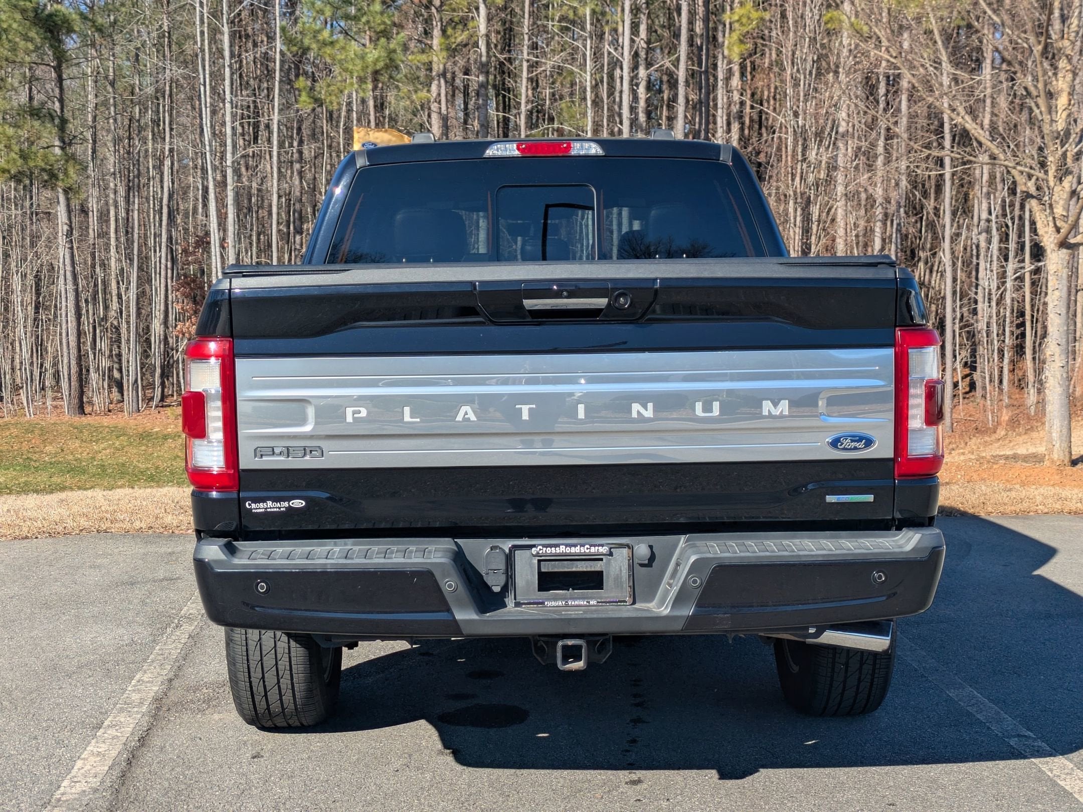 2021 Ford F-150 Platinum