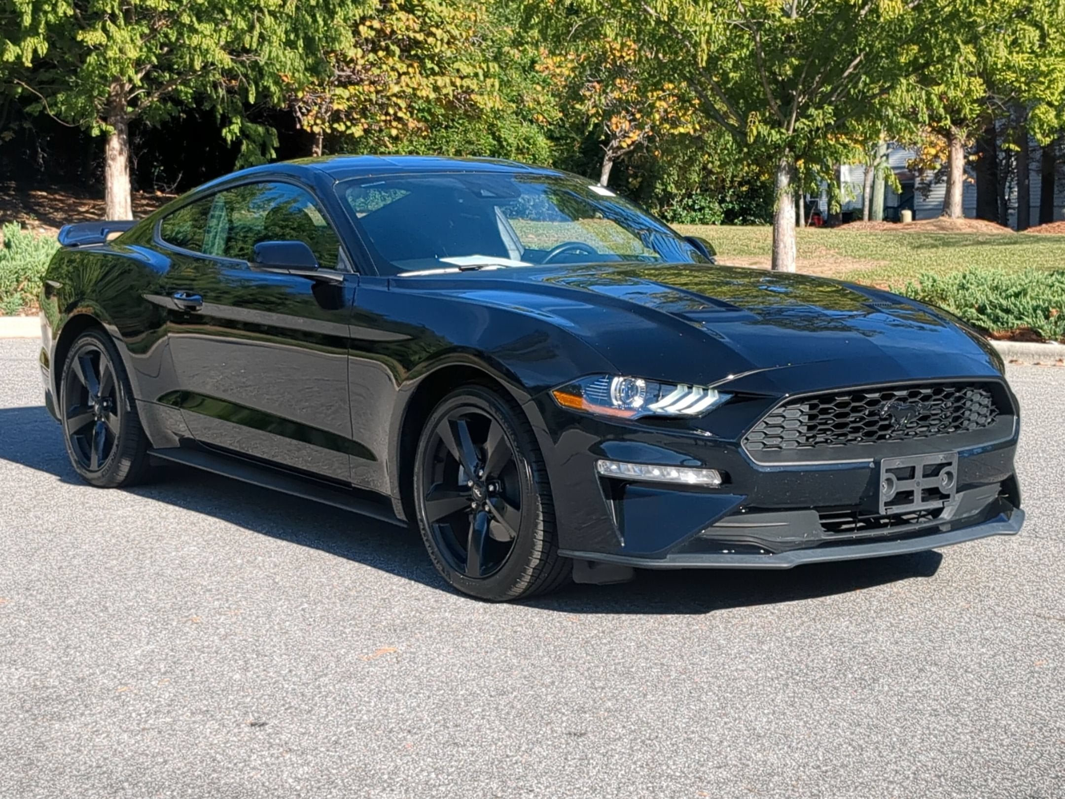 2023 Ford Mustang EcoBoost