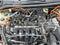 2023 Ford Escape PHEV