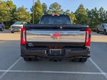 2025 Ford Super Duty F-450 DRW Platinum
