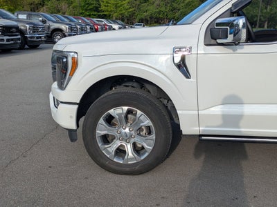 2023 Ford F-150 Platinum
