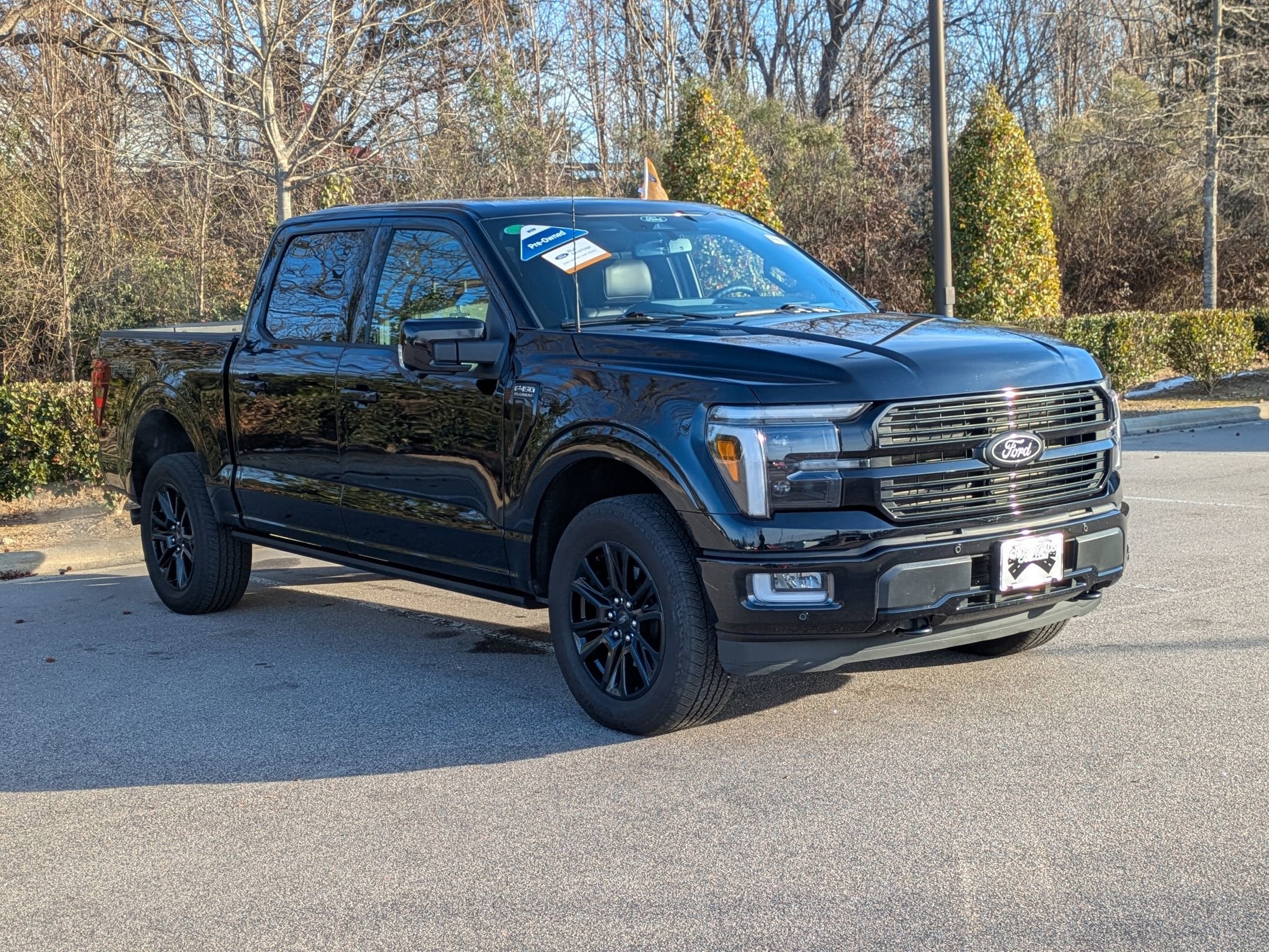 2025 Ford F-150 Platinum