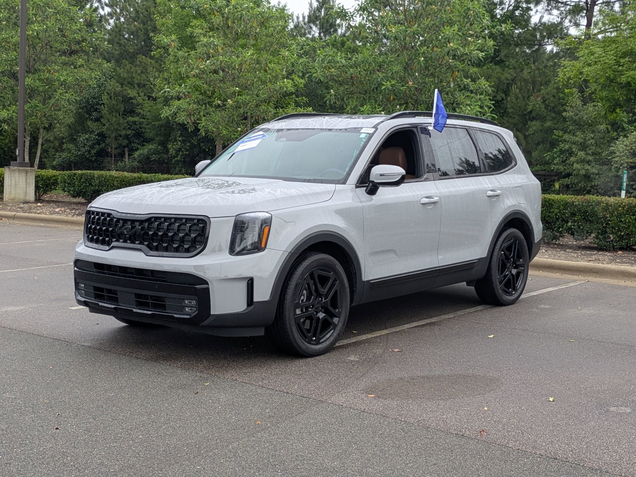 2025 Kia Telluride SX-Prestige X-Line