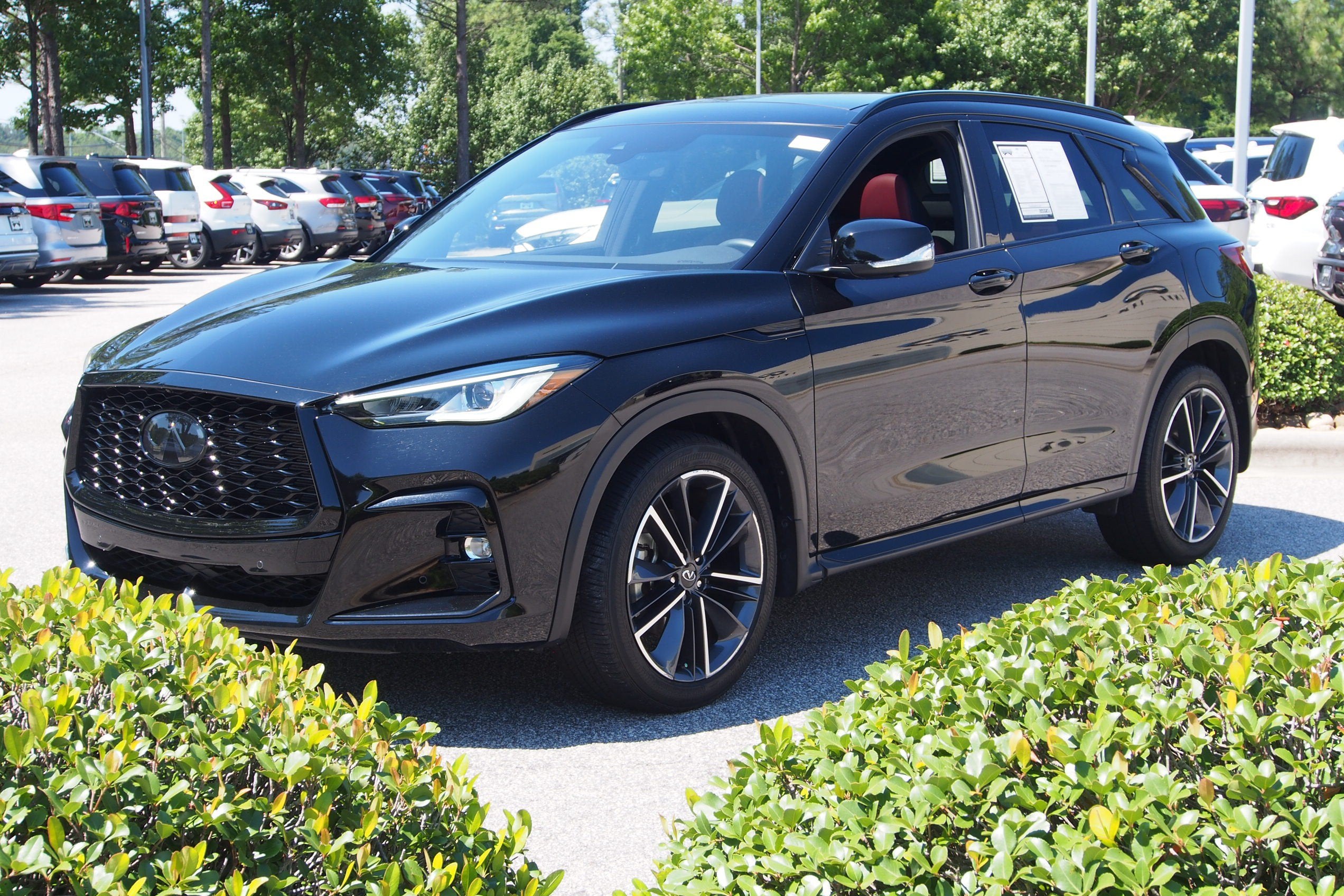 2023 INFINITI QX50 SPORT